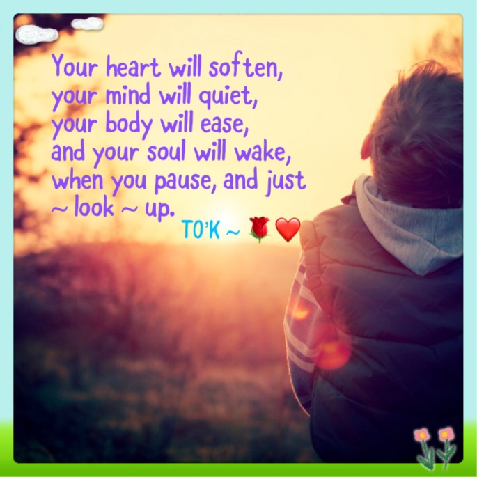 8D6B1381-4098-4C8C-942D-621262A91868